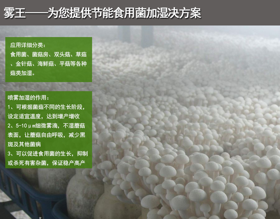 微信圖片_20201218151312 微信圖片_20201218151312